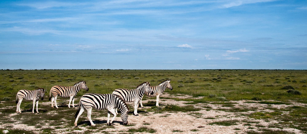 South Mobile Camp Hotel Nxai Pan National Park Exterior photo